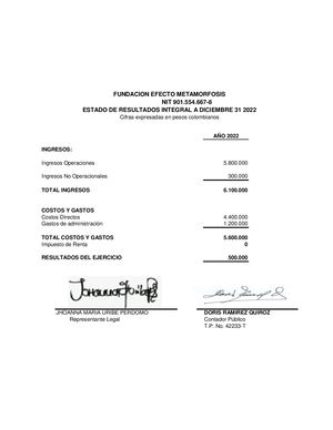 6 Estados De Resultados Fundacion Efecto Metamosfosis