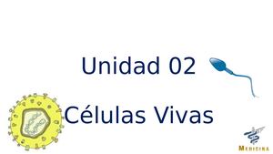 02 Celulas Vivas