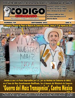 CODIGO CIUDADANO 729