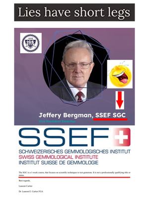 IGR (Rivista Italiana di Gemmologia/Italian Gemological Review)