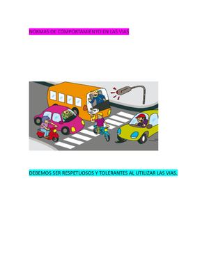Normas De Comportamiento En Las Vias