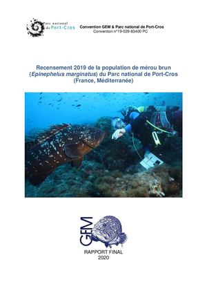 Recensement 2019 de la population de mérou brun (Epinephelus marginatus) du Parc national de Port-Cros