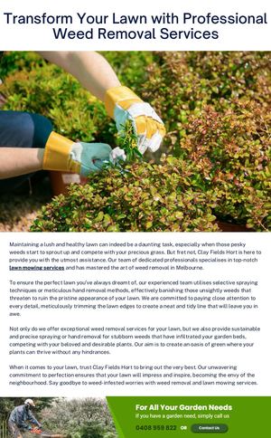 Transform Your Lawn With Professional Weed Removal Services