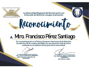 Reconocimiento Personalizado Por La Participación En El Congreso (Final 8 Personas)