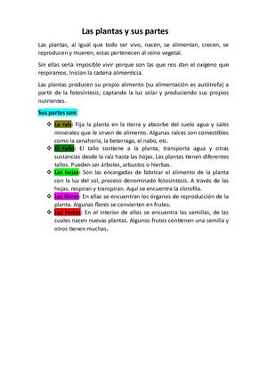 Las Plantas