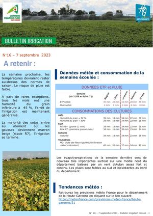 Bulletin Irrigation ETE 2023 n°16