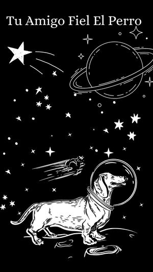 Tu Amigo Fiel El Perro