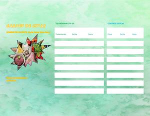 Formato De Carnet De Cita