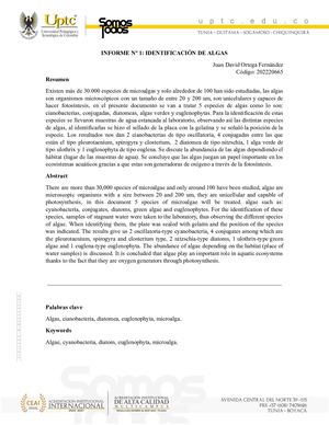 Informe Algas