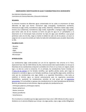 Informe Biología Vegetal