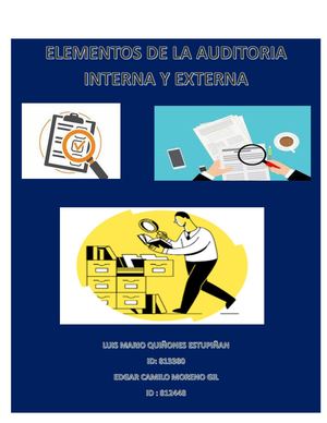 Elementos De Auditoria