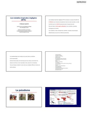 Les Maladies Tropicales Négligées
