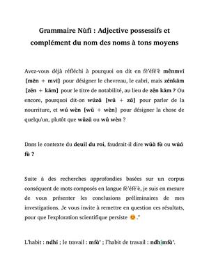 La Grammaire Du Nufi Complément Adj Possessif Ton Moyen