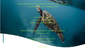 Folleto De Lesiones Más Comunes En El Trabajo O Vida Cotidiana, Ga2 230101507 Aa4 Ev01