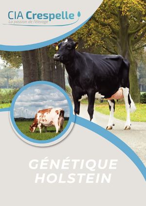 Catalogue Holstein 2023basse
