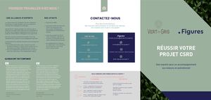 Brochure Vert De Gris Figures