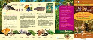 Valli E Pinete 2023 Flyer 5ante 488x210 Bozza