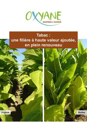 Plaquette Tabac