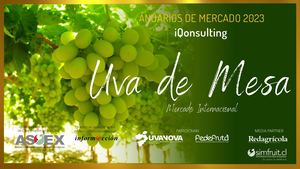 Anuario Uva De Mesa 2023