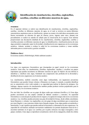 Laboratorio Biología vegetal 1