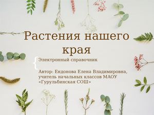 Растения нашего края