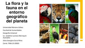 Presentación Flora Y Fauna De Centroamérica Y Guatemala