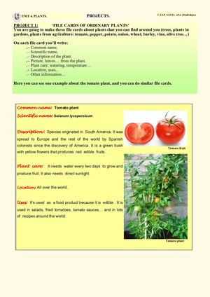 Calamo - SCIENCE 5.4.3. Projects