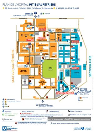 Plan Psl Entier 09 2023 Zones Tolerance Tabac
