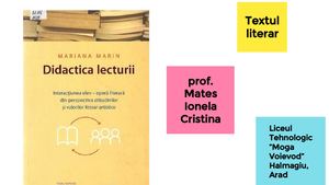 Recapitulare Textul Literar