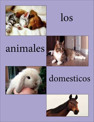 Animales Domesticos