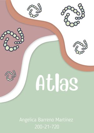 Modulo Ii Atlas Patologíco 2