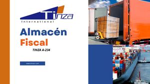 TINZA 1 PRESENTACION