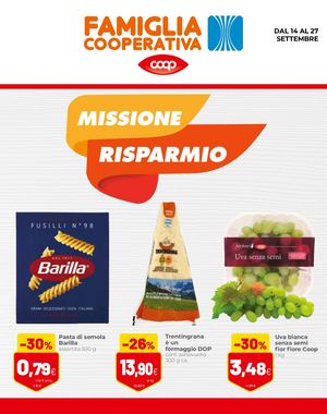 Volantino Ap 19 Can B