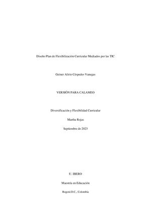 Diseño Plan De Flexibilización Curricular Mediados Por Las Tic