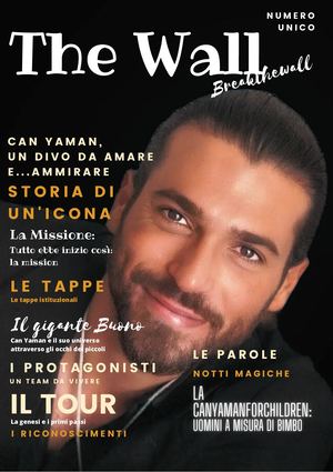 The Wall speciale Breakthewalltour