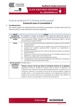 Auditoría Gubernamental P.A 2