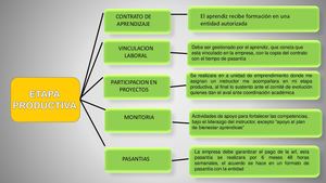 etapa productiva sena