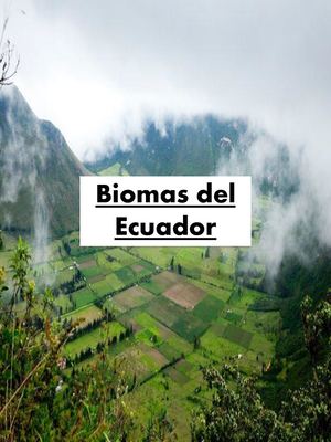 Biomas Del Ecuador