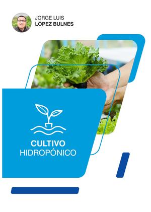 Jorge Luis Lopez Bulnes