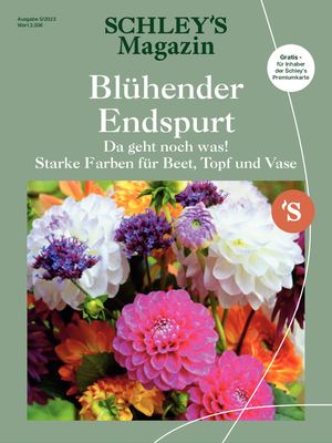 Mein ParadiesGarten 4/23 Schley Ratingen