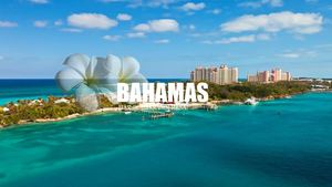 Maja S Reseledarpärm