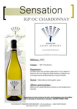 A IGP CHARDONNAY Sensation (millésime 2022).