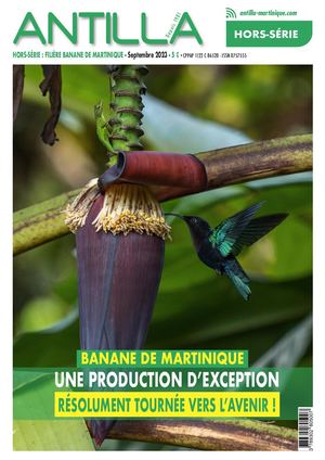 Dossier Banane 2023 Web