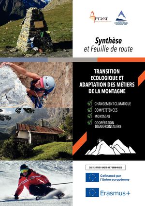 Feuille De Route Projet TEAMM