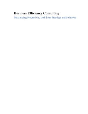 Business Efficiency Consulting