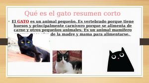 Qué Es El Gato Resumen Cortoashley5d