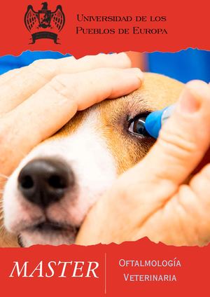 Oftalmologia Veterinaria, Mst