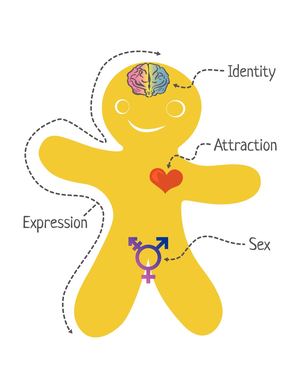 Genderbread Person V4 All