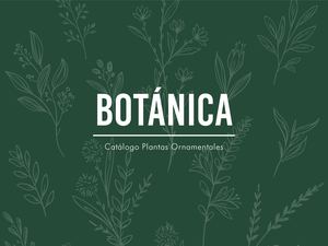 Catálogo Plantas Ornamentales
