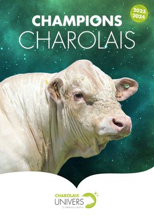 Champion Charolais 2024
